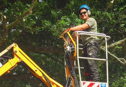 Robin Parker Tree Services performing tree inspections on a crane