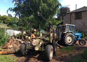 Logs for sale being transported for site clearance