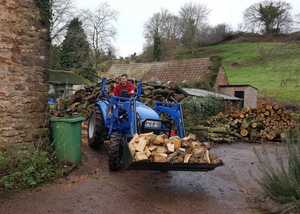 Domestic arboreal services in countryside with seasoned firewood for sale